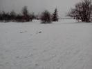 Bild 6075