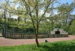 Bild 8151