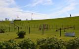 Bild 8629
