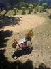 Bild 27798