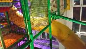 Bild 12098