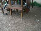 Bild 1004