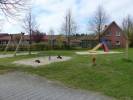 Bild 13778