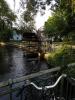 Bild 18542