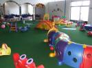 Bild 1201