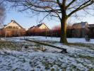 Bild 18068