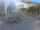 Foto von Centennial Park All Childrens Playground